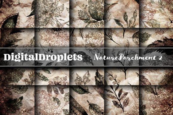 Unveiling Nature Parchment Vol. 2: A Designer's Deep Dive